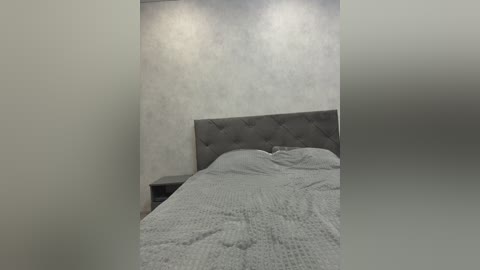 Video of a minimalist bedroom featuring a gray upholstered headboard, gray quilted bedding, and a textured gray wall. The room is lit with soft, diffused lighting.