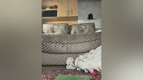 Video of a lived-in room with a beige-patterned couch, wooden cabinets, a microwave, and a green rug, with a white blanket and a red pillow on the floor.