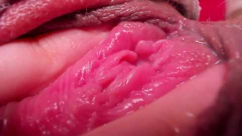 A close-up video of a vulva, showcasing pink, moist, and textured labia majora and minora, with surrounding skin tones varying in shades of brown. The image is highly detailed and realistic, highlighting the natural texture and color variations.