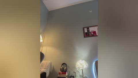 Video of a minimalist, softly lit bedroom with sage-green walls, a black lampshade, white fluffy lampshade, framed photo, and a small red box on a bedside table.