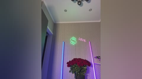 Video of a modern room with beige textured walls. Neon signs spelling \"Love\" and \"$\" hang on the wall. A vase of vibrant red roses sits on a table, surrounded by multicolored neon lights.