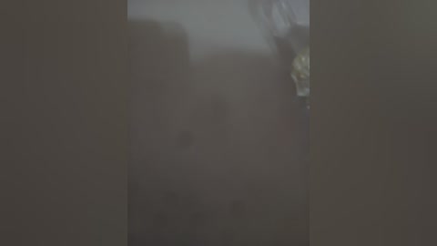 A dimly lit video of a partially obscured person, possibly a woman, standing in a room with muted, grayish tones, hinting at an intimate or private setting. The background is indistinct, adding to the sense of mystery.