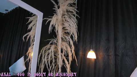 Video of a modern interior featuring a dark wall with a large, cascading dried flower arrangement. A white-framed mirror reflects part of the scene. A pendant light casts a warm glow, enhancing the room's ambiance.