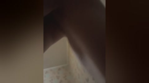 A dimly lit video captures a blurred, shadowy figure in a narrow hallway. The figure's silhouette suggests a person, possibly male, leaning against the wall. The background features a tiled floor with a floral pattern.