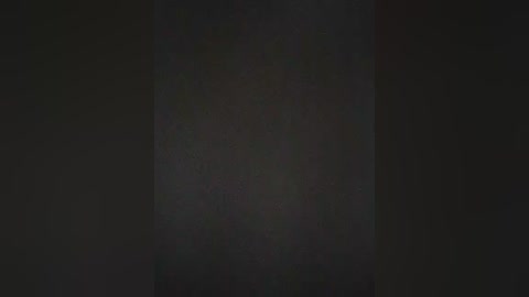 A dark, grainy video with a central, indistinct, possibly blurry figure. The background is mostly black, making the subject difficult to identify. The image has a low-resolution, almost vintage feel, with minimal detail visible.