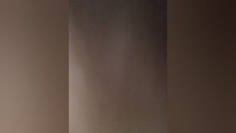 Video of a tall, cylindrical object with a dark brown, rough texture, standing against a dimly lit, brown background. The image is slightly blurred, making the object's exact nature indistinct.