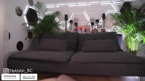 Video of a modern, minimalist living room with a gray sofa, lush green plants, and a bar area with bottles and decorative items.