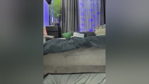 Video of a modern bedroom with a gray bed, dark curtains, and a green potted plant. The room is dimly lit, with blue LED strip lights adding ambiance.