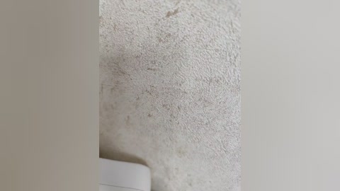 Video of a close-up view of a textured white wall with a slight crack running vertically. The wall's surface appears rough, with visible ridges and a slightly uneven texture. The background is plain, focusing attention on the wall's details.