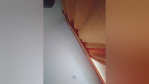 Video of a ceiling with a crack, revealing a hole and a small spider web. The ceiling is white, and the crack runs diagonally from the upper left to the lower right.