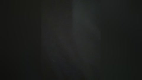 A dark, blurry video with indistinct figures and a vague, shadowy background. The image appears to depict a dimly lit, possibly outdoor scene with indistinguishable people.