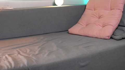 A video of a modern gray couch with a tufted pink cushion and a wooden coffee table, featuring a soft, textured surface and minimalist decor.