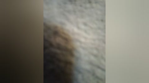 A blurred video featuring a textured beige and white surface, possibly a rug, with indistinct objects or patterns. The image is out of focus, making it difficult to discern specific details or objects.