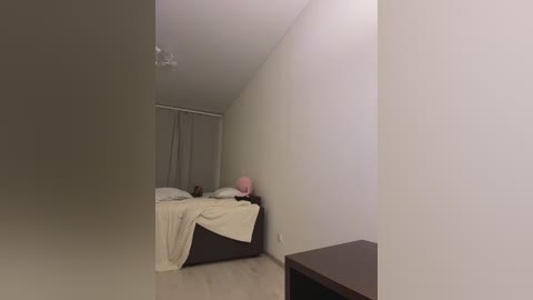 Video of a minimalist, modern bedroom with beige walls, a dark wooden bed, white pillows, and a pink teddy bear, set against a gray curtain.