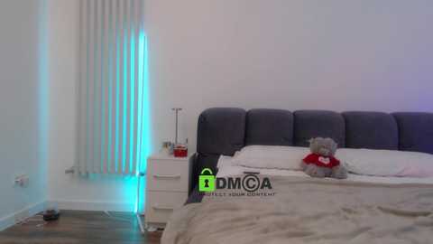 Video of a modern bedroom with a grey upholstered bed, white bedside table, and a small teddy bear in a red sweater. Blue LED strip light on the left wall.
