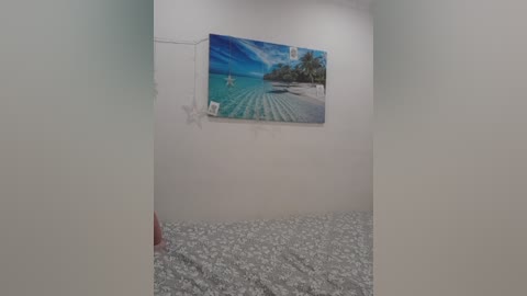 Video of a small, white-walled room with a blue and green beach scene painting on the wall. The floor is covered in a white and gray floral patterned rug. The room appears empty.