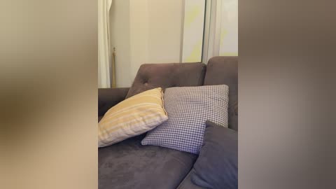 Video of a cozy living room featuring a dark grey couch with a yellow and white striped pillow, a grey and white checkered pillow, and white curtains in the background.