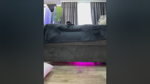 Video of a modern bedroom with a grey bed, grey curtains, and a purple light illuminating the wooden floor.