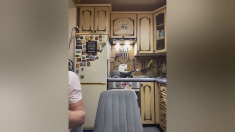 Video of a cozy kitchen with light wood cabinets, stainless steel appliances, a gray chair, and a person partially visible wearing a pink shirt. The background features a collage of magnets on the fridge.
