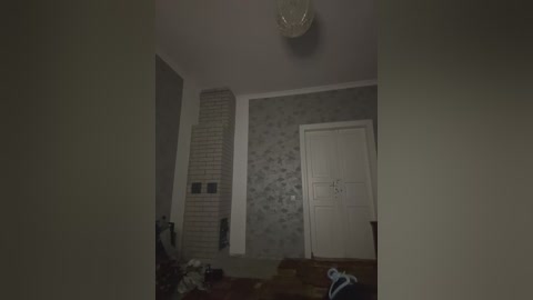 Video of a dimly lit room with gray wallpaper, white door, and a beige brick wall. A small dog is visible on the floor, and the room appears cluttered with items on the floor and shelves.