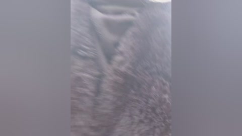 A video depicting a close-up view of a human vulva, with light skin tones, visible labia, and a soft focus. The image is blurry, lacking detailed textures.