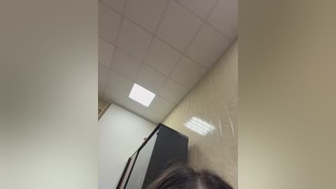 A video of a narrow, beige-tiled bathroom with a fluorescent light fixture on a white ceiling. A person's shoulder and dark hair are partially visible in the foreground.