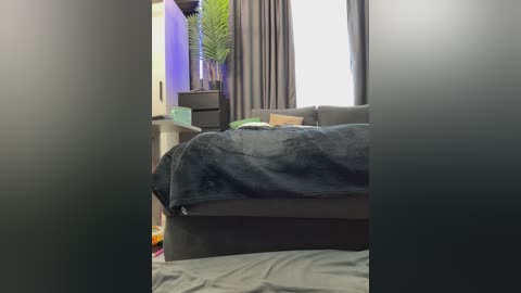 Video of a cozy bedroom with a dark gray couch covered in a plush, gray throw blanket. A white nightstand with a plant and a TV are visible. Gray curtains cover the window.
