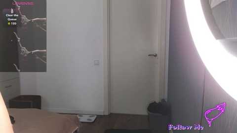 Video of a dimly lit, minimalist bedroom with a closed door, a large round mirror, and a poster featuring a woman in a black dress on the left wall.