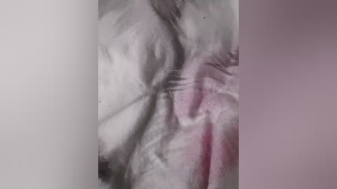 Video of a person lying on a bed with a white sheet, visible are the folds and wrinkles of the sheet, creating a textured, abstract pattern.