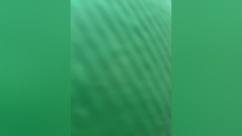 A video of a green, rippling surface, possibly water, with wavy patterns and subtle color variations, creating a serene, calming effect. The image is abstract and lacks identifiable objects or figures.