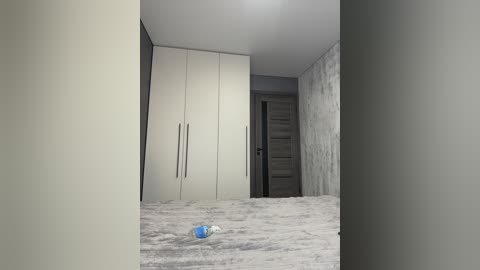 Video of a modern, minimalist bedroom with white walls, a gray carpet, and a closed white wardrobe. The room has a gray door and a textured gray wall, with a small blue and white container on the floor.