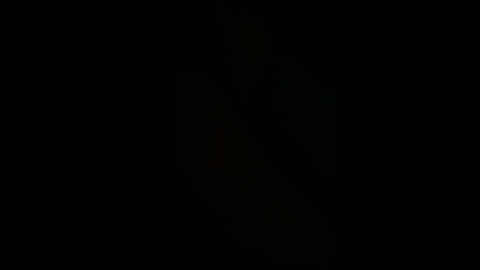 A video of a black background with no discernible objects or details, providing a stark, minimalistic aesthetic. The image is void of any color or texture, creating an empty, monochromatic visual.