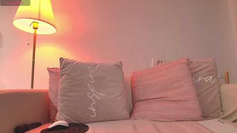 Video of a cozy, dimly-lit living room featuring a beige sofa with two gray and one pink cushion, a lamp with a beige shade casting a warm glow, and a framed photo on the wall.