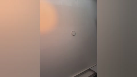 A video of a dimly lit, plain white wall with a small, circular, dark spot near the center. The background is blurred, creating a soft, diffused effect. The image is taken from a low angle.
