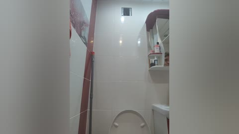 A video of a small, white-tiled bathroom with a red-tiled wall, a white toilet, a sink, and a mirror, showcasing a simple, utilitarian design.