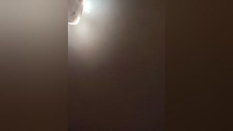 A video captures a partial solar eclipse, with a crescent moon partially blocking the sun. The sky is overcast, casting a muted, dark brown tone over the scene. The image is soft and slightly blurred, emphasizing the serene, almost mystical atmosphere.