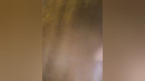 A video featuring a blurred, brownish-tinted vertical column with a textured surface, set against a similarly colored, foggy background. The image lacks distinct details, giving an impression of mystery and depth.