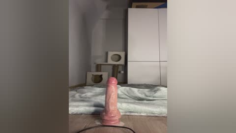 A video of a large, pink, lifelike dildo on a wooden floor in a minimalist room with white furniture and a cat tower with two shelves.