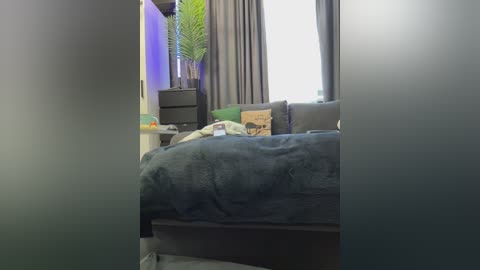 A video of a modern, cozy bedroom with a dark grey bed covered in a plush, dark blue blanket. A green fern plant and a tall vase are on the nightstand.