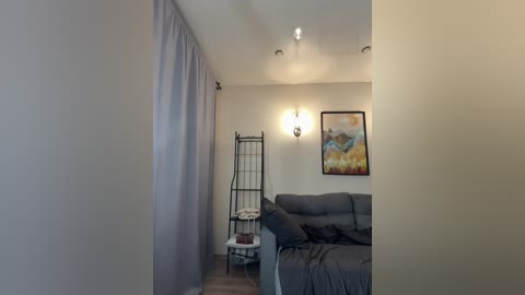 Video of a minimalist living room with beige walls, a gray sofa, light gray curtains, a black metal shelving unit, and a colorful abstract painting.