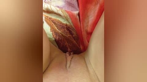 A close-up video of a person's vulva with a colorful fabric, possibly a scarf, partially covering it. The fabric is a blend of red, green, and brown hues. The skin tone is light. The background is blurred, focusing attention on the intimate area.