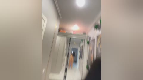 A blurry video of a narrow, white hallway with a mirror, potted plants, and a person in motion. The image is out of focus, making it difficult to discern details clearly.
