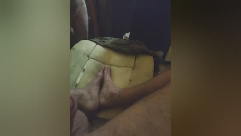 Video of a man's hand holding a large, yellow, segmented turtle shell, with a dark, leathery skin texture. The background is dimly lit, suggesting an indoor setting. The man's arm and torso are visible, suggesting he's holding the shell gently.