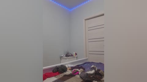 Video of a small, neatly organized bedroom with light blue walls, blue LED lights on the ceiling, and a white door with horizontal slats. The floor is covered with a multicolored, patchwork quilt. A small white desk holds a few items.