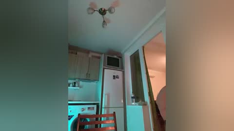 Video of a dimly lit, small kitchen with a white fridge, microwave, and wooden chairs; beige walls, greenish-blue lighting, and a ceiling fan with three light bulbs.