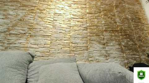 Video of a modern living room wall with textured gold stone tiles, contrasting with a light gray fabric sofa.