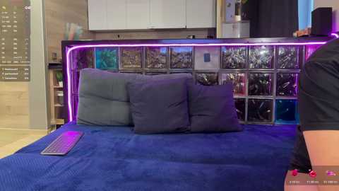 A video of a modern, cozy bedroom with a blue bedspread, dark gray pillows, a metallic headboard with glowing purple LED lights, and a laptop on the bed.