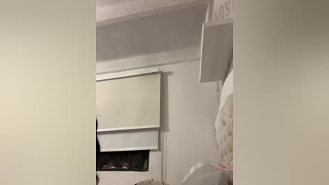 Video of a cluttered, dimly lit room with beige walls, a white window blind, and a white ceiling fan. A white shelving unit is visible on the right, partially obscured by a white curtain. The scene suggests a lived-in, possibly messy environment.