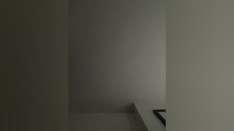 Video of a minimalist, dimly lit room with a corner shelf on the right, featuring a black, rectangular object on it. The walls are plain and light gray, creating a stark, monochromatic atmosphere.