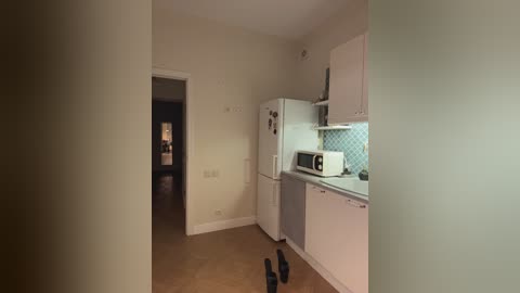 A video of a small, empty kitchen with beige walls and a white fridge, microwave, and stove. A door leads to a dimly lit hallway. The floor is wooden.